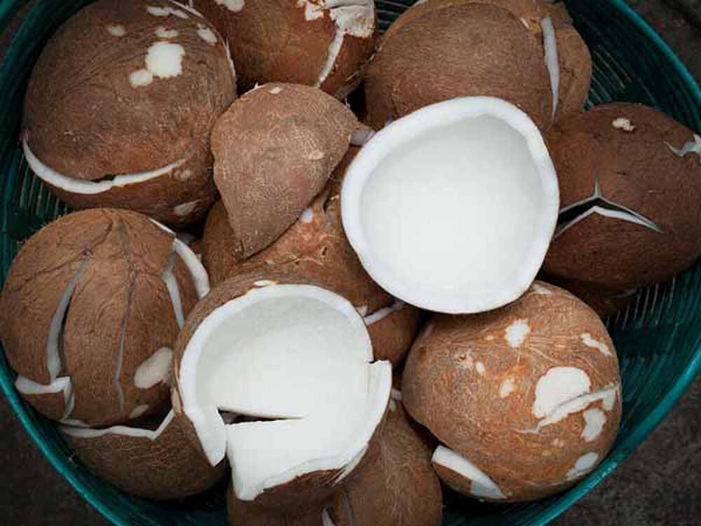 Cách làm dầu dừa dưỡng da tại nhà dễ hơn cả ăn kẹo, bạn đã biết chưa?