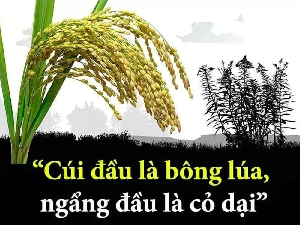 Giữa 'bão drama' ngập trời, Dũng Taylor đăng status ẩn ý, dân mạng 'réo gọi' vợ chồng Dũng 'lò vôi'