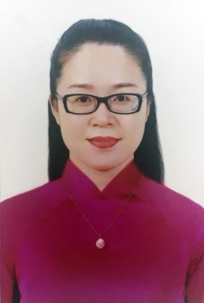 Nghệ sĩ ứng cử đại biểu Hội đồng Nhân dân Ảnh 1