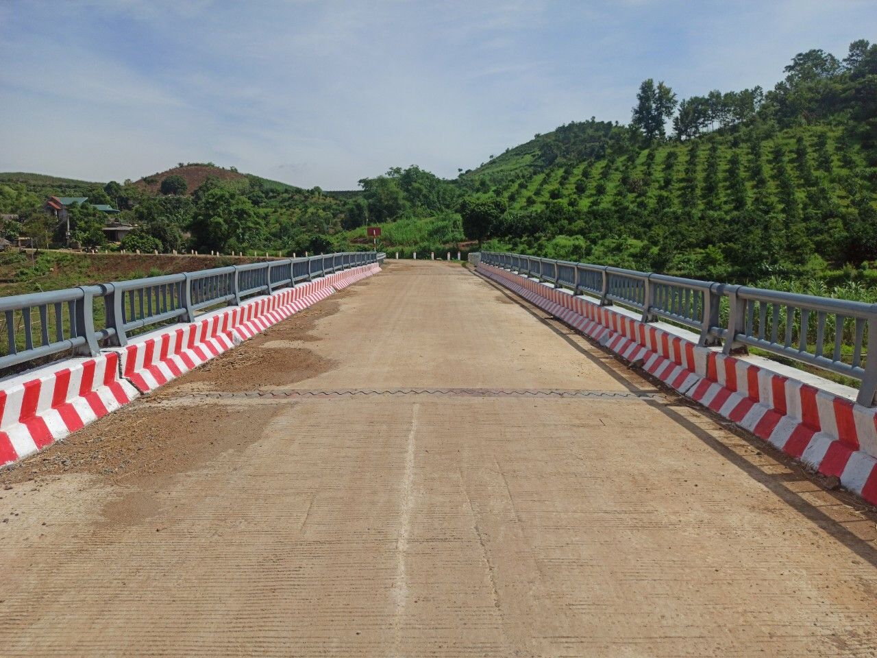ntn1-1621769543.jpg