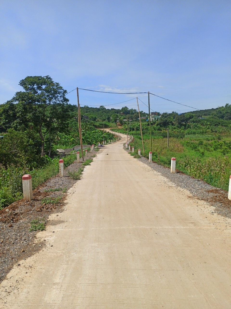 ntn2-1621769575.jpg