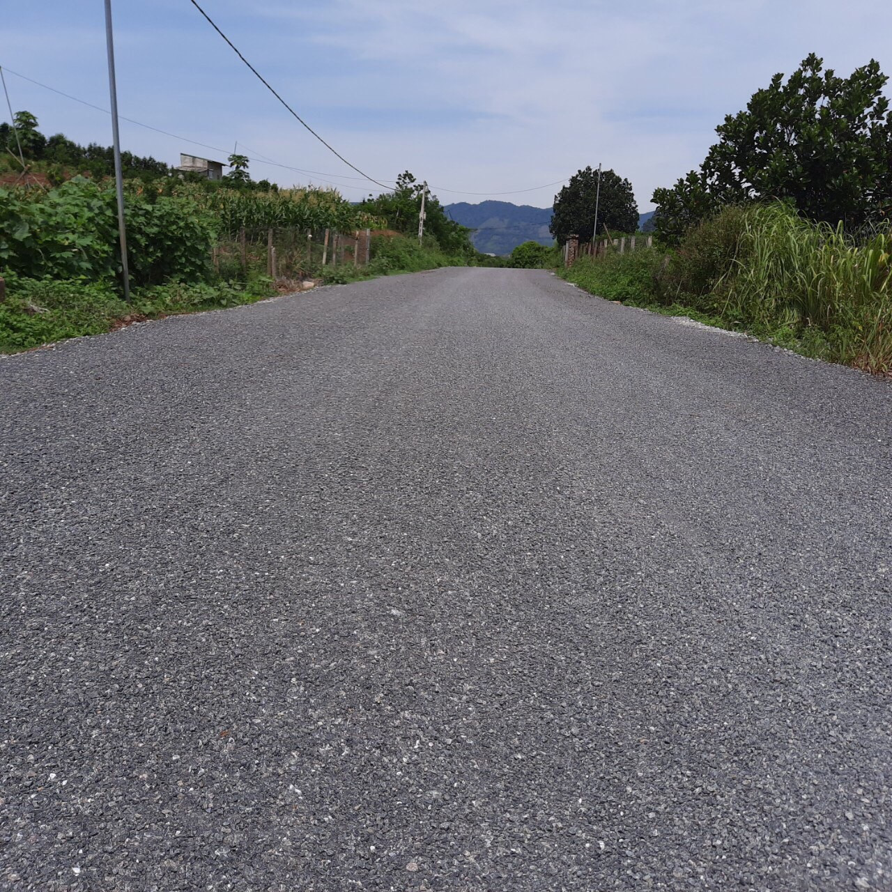 ntn5-1621769646.jpg