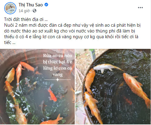 tm-img-alt