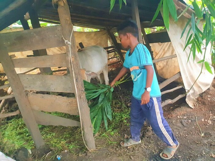 Vụ học trò nghèo không có tiền nộp quỹ bị Hiệu trưởng giữ học bạ: 'Tôi làm việc tất cả cũng vì học sinh' Ảnh 2