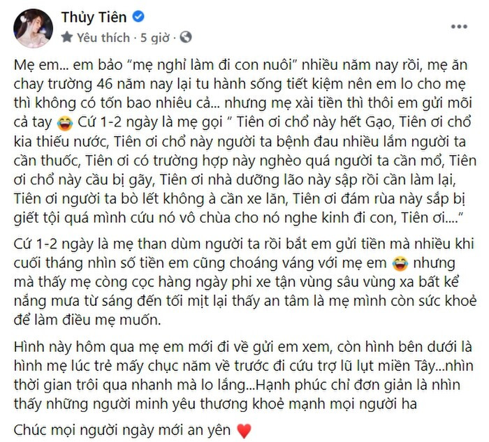 Xôn xao hình ảnh mai rùa phóng sinh khắc tên gia đình Thủy Tiên, mẹ nữ ca sĩ vội xóa bài đăng? Ảnh 5