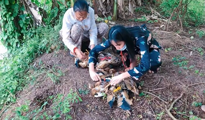 Thủy Tiên lại gây tranh cãi vì treo ngược đàn cò lửa để mang đi phóng sinh sau ồn ào khắc tên lên mai rùa Ảnh 3