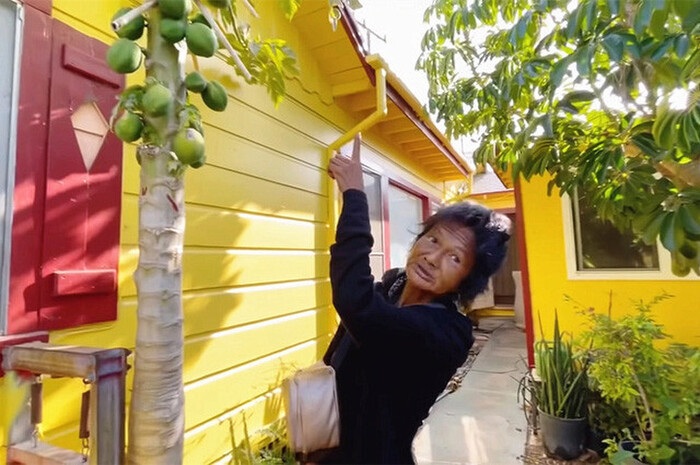 Em họ Kim Ngân bị tố 'cấm' không cho ai tới lui thăm cựu ca sĩ, người trong cuộc nói gì?