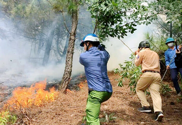 Thi thể người đàn ông được phát hiện giữa vườn keo sau vụ cháy lớn Ảnh 1