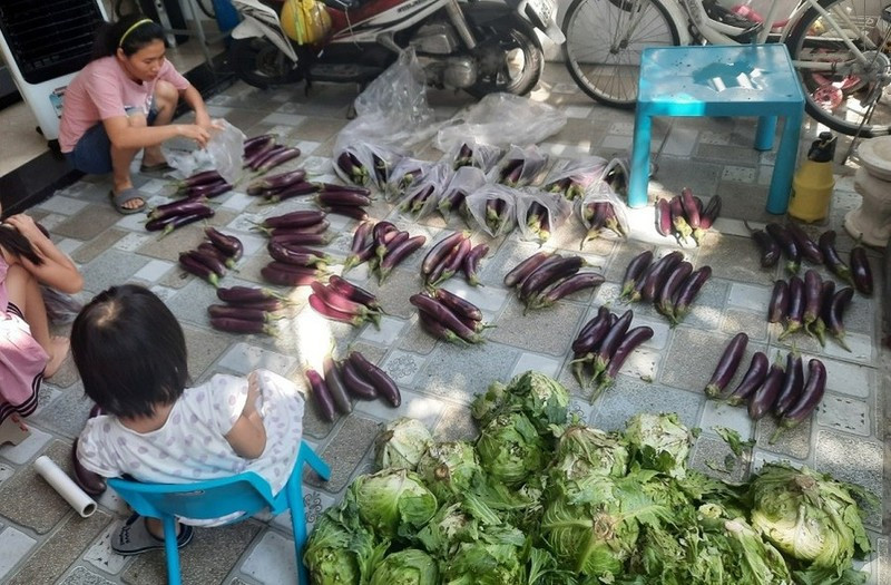 hững người “làm dâu trăm họ” trong đại dịch ở Đà Nẵng
