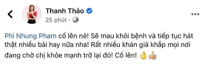 Thanh Thảo 'dằn mặt' anti-fan mỉa mai giữa lúc Phi Nhung bị Covid-19: Đừng hả hê, cười cợt Ảnh 2