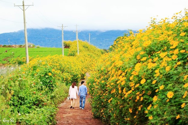 Lên rừng hay xuống biển hậu Covid – 19: Cơ hội hiếm có cho những điểm đến mới - Ảnh 1.