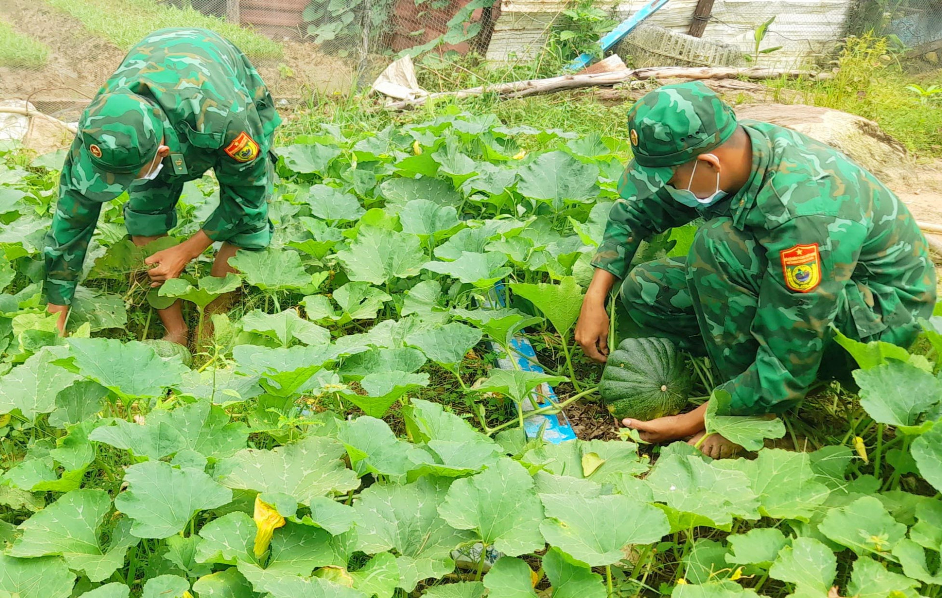 bien-phong-kien-giang-5-1631782879.jpg