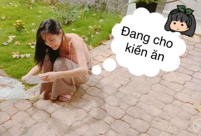 Thủy Tiên bị 'đào' lại phát ngôn: 'Rớt cục tiền tha về nhà liền'