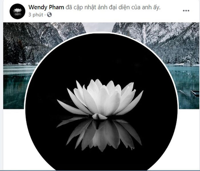 Hành động âm thầm đầu tiên của Hồ Văn Cường khi mẹ nuôi Phi Nhung qua đời Ảnh 1