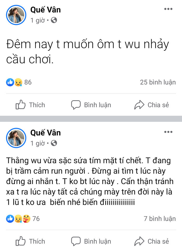 Nữ ca sĩ Vbiz đòi ôm con nhảy cầu, tuyên bố 'đừng ai tìm tôi lúc này' khiến dân tình hoang mang Ảnh 1