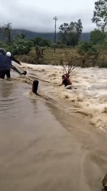 Clip: 'Đứng tim' cảnh giải cứu người phụ nữ bấu víu vào gốc cây giữa dòng lũ chảy xiết Ảnh 1