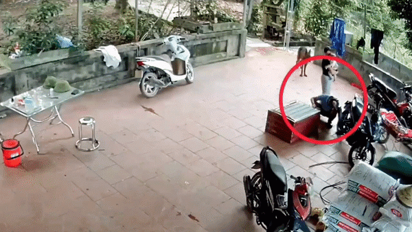 Đứng tim cảnh trăn 'khủng' sổ lồng, lao thẳng ra cắn chặt vào mặt người đàn ông Ảnh 1
