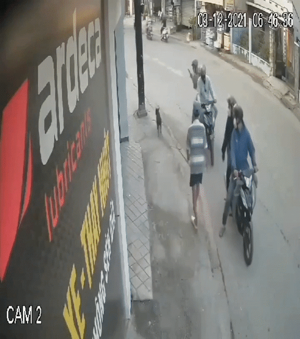 Clip: Nhóm 'cẩu tặc' táo tợn giằng co, dọa chích điện chủ nhà để cướp chó giữa ban ngày Ảnh 1
