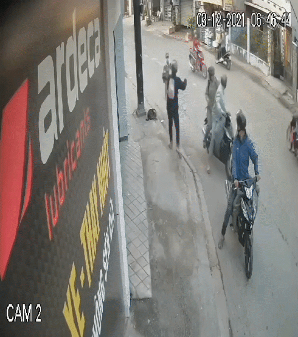 Clip: Nhóm 'cẩu tặc' táo tợn giằng co, dọa chích điện chủ nhà để cướp chó giữa ban ngày Ảnh 2