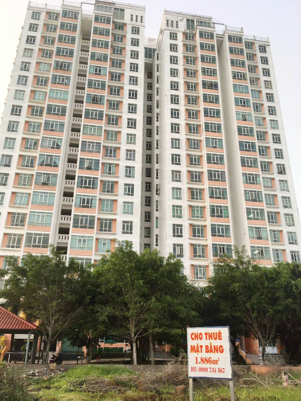anh-02-4-1638717256.jpg