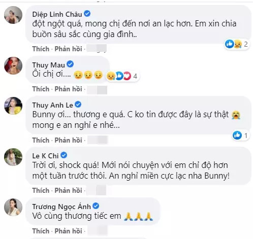 Sao Việt thương tiếc nữ người mẫu qua đời ở tuổi 33, người chồng đau đớn đến nhập viện Ảnh 3