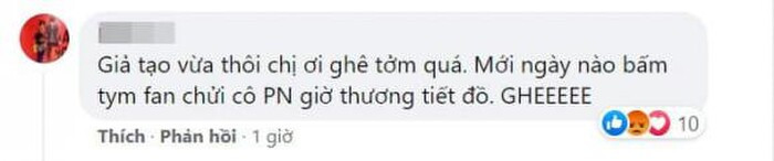 Tưởng nhớ Phi Nhung nhưng lại bị cho là 'câu fame', Tố My đáp trả cực gắt