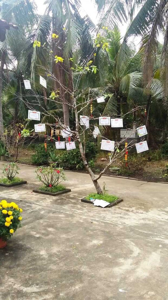 Hội học sinh trổ tài trang trí cây cảnh dịp Tết khiến dân tình xuýt xoa: Trend này ai mà chơi lại?