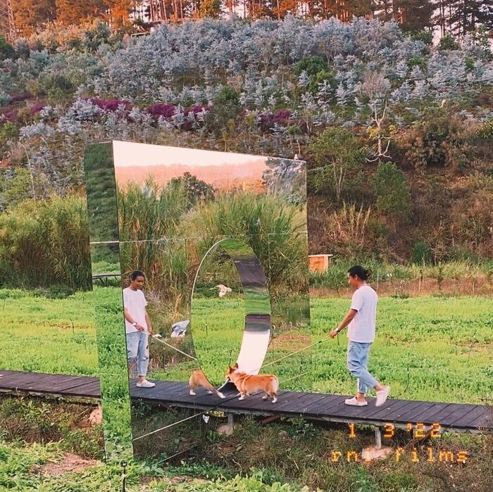 Xuất hiện chiếc 'gương thần ảo diệu' ở Đà Lạt, dân tình chưa gì đã lo sợ phải xếp hàng chờ chụp ảnh