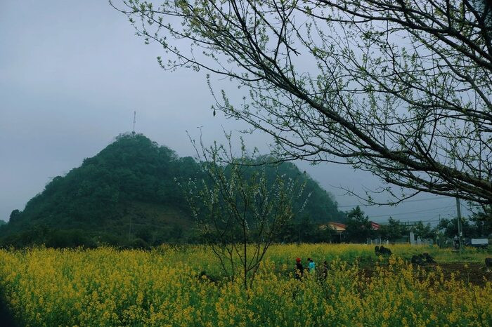 Có một Hà Giang đẹp mơ màng qua ống kính của chàng trai trẻ
