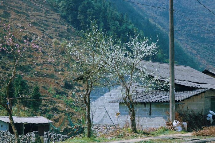 Có một Hà Giang đẹp mơ màng qua ống kính của chàng trai trẻ