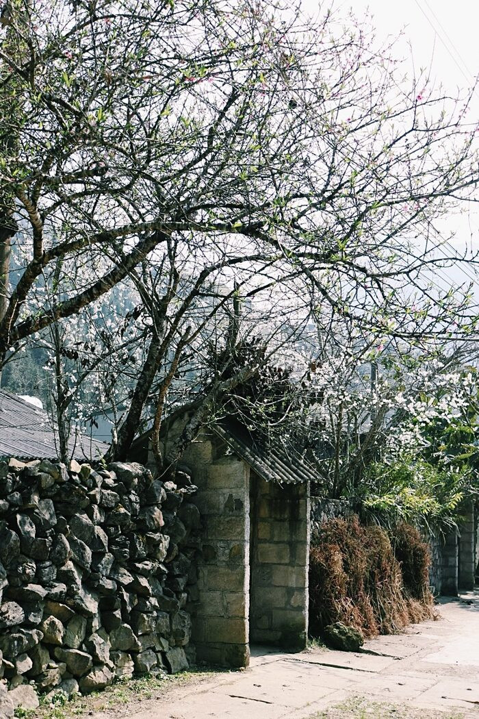 Có một Hà Giang đẹp mơ màng qua ống kính của chàng trai trẻ