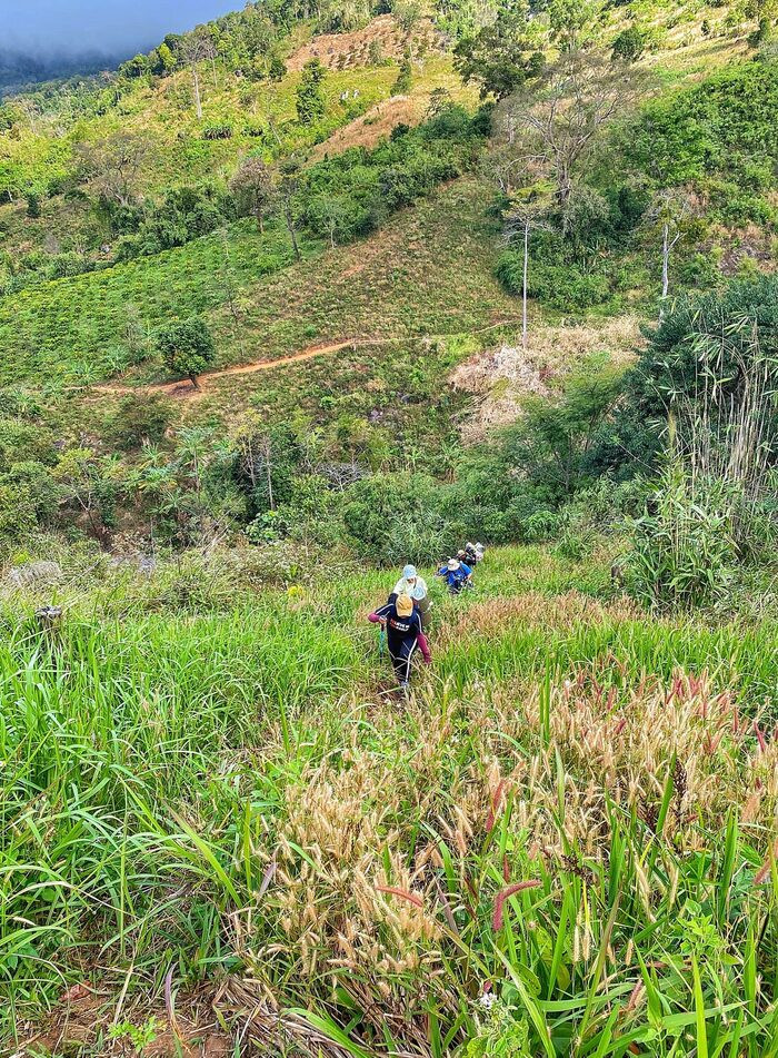 Chạm tay vào đỉnh Chư Yang Lăk cao 1.643m
