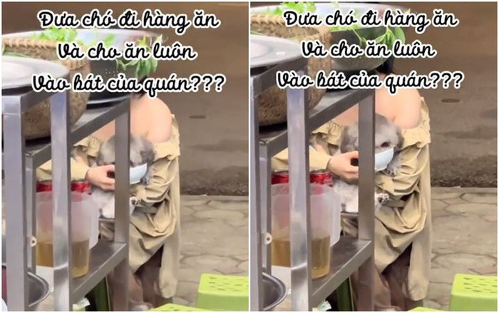 Cho chó cưng ăn uống trong bát của quán, cô gái trẻ khiến dân mạng tranh cãi dữ dội Ảnh 1