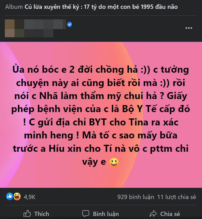 Người nhận là nạn nhân bị lừa 17 tỉ đồng lên tiếng trước tuyên bố 'không lừa đảo' của Tina Dương Ảnh 3
