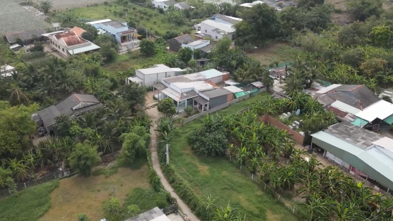 tang-hoa-1-1665375931.png