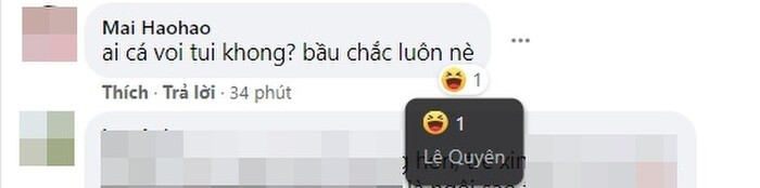 Khi bị cư dân mạng quả quyết đang mang thai, Lệ Quyên có động thái hết sức bất ngờ Ảnh 3