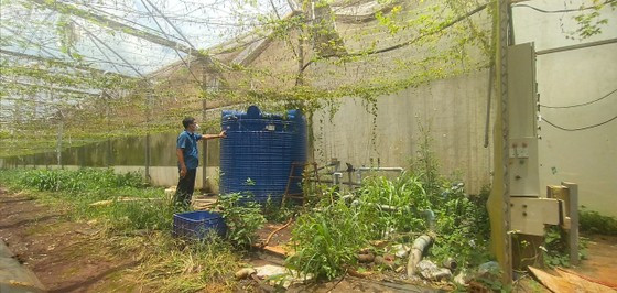 Đồng Nai: Bắt nguyên Phó Giám đốc Sở KH- CN Nguyễn Ngọc Phương ảnh 1