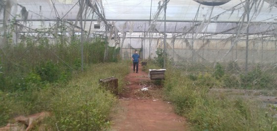 Đồng Nai: Bắt nguyên Phó Giám đốc Sở KH- CN Nguyễn Ngọc Phương ảnh 2
