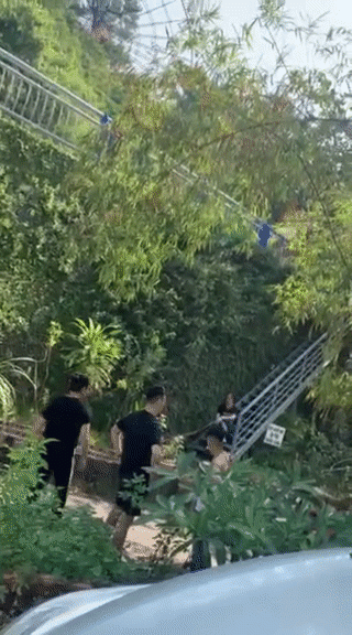 Nghĩ cún cưng bị hại chết, 4 người trong gia đình đánh hội đồng cậu nhân viên làm thuê Ảnh 1