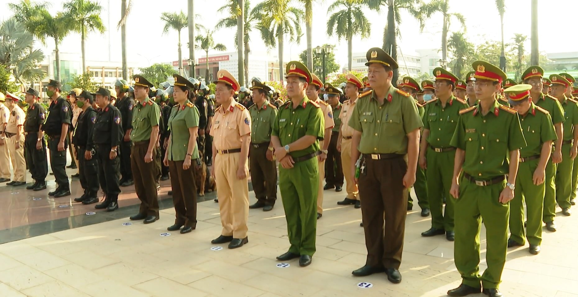 ca-tg-tran-ap-1-1669452064.jpg
