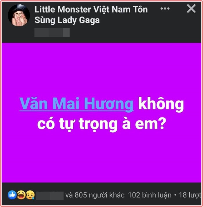 Văn Mai Hương bất ngờ bị fan một nữ ca sĩ nổi tiếng chỉ trích: 'Không có tự trọng à em?' Ảnh 1