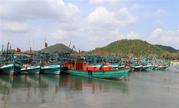 BR-VT: Bat Giam doc Trung tam Dang kiem tau ca va 2 can bo cap duoi hinh anh 1