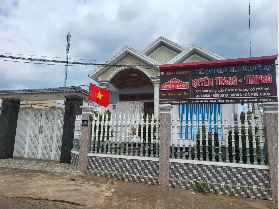 Cà phê “bẩn” đe dọa sức khỏe người tiêu dùng
