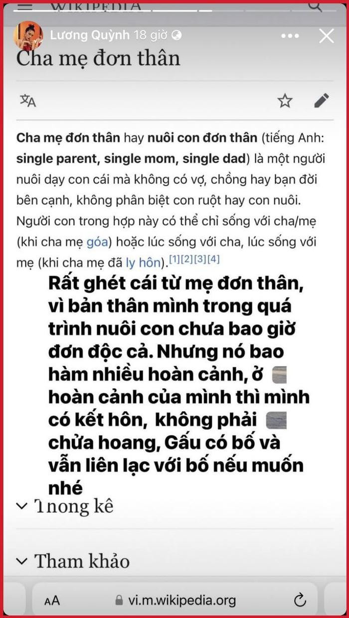 Quỳnh Lương: 'Tôi rất ghét cái từ mẹ đơn thân, con tôi có bố và vẫn liên lạc với bố nếu muốn' Ảnh 1