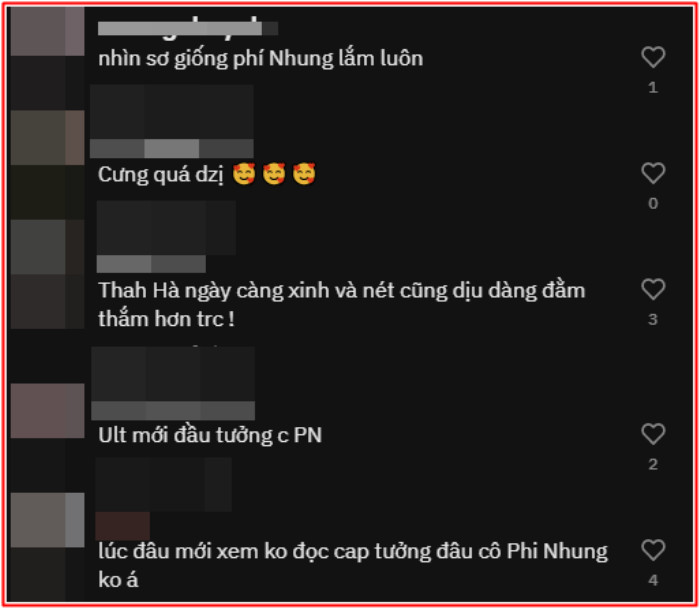 Nữ ca sĩ có gương mặt giống hệt Phi Nhung khiến dân mạng xôn xao Ảnh 3