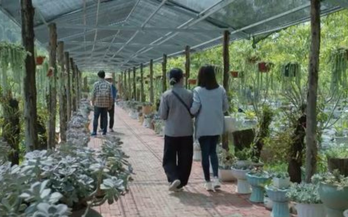 Nơi Giấc Mơ Tìm Về: Tình mới của Phương xuất hiện, được khen đẹp 'ăn đứt' Gia An Ảnh 1