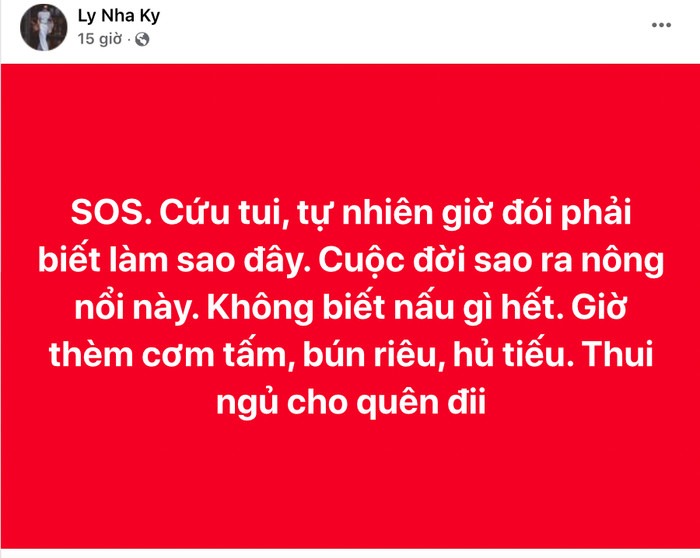 Lý Nhã Kỳ bất ngờ kêu cứu giữa đêm, bất lực: 'Cuộc đời sao ra nông nổi này' Ảnh 2