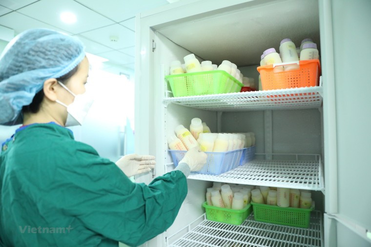 WHO cảnh báo về tiếp thị sữa công thức dành cho trẻ em tại Việt Nam ảnh 2