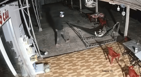 Tốn bao cơm gạo nuôi chó trông nhà, gia chủ bất lực khi xem lại camera Ảnh 2