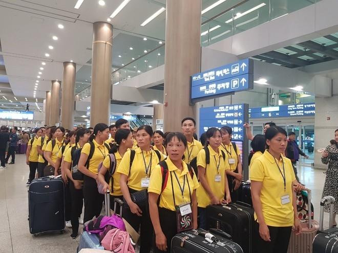 Những lưu ý đối với người lao động sang Hàn Quốc làm việc thời vụ